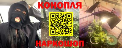 Альфа ПВП Будённовск