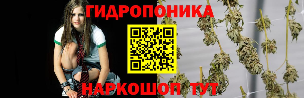 Татарск  Бошки марихуана конопля  Вход с VPN  Конопля Amnesia 
